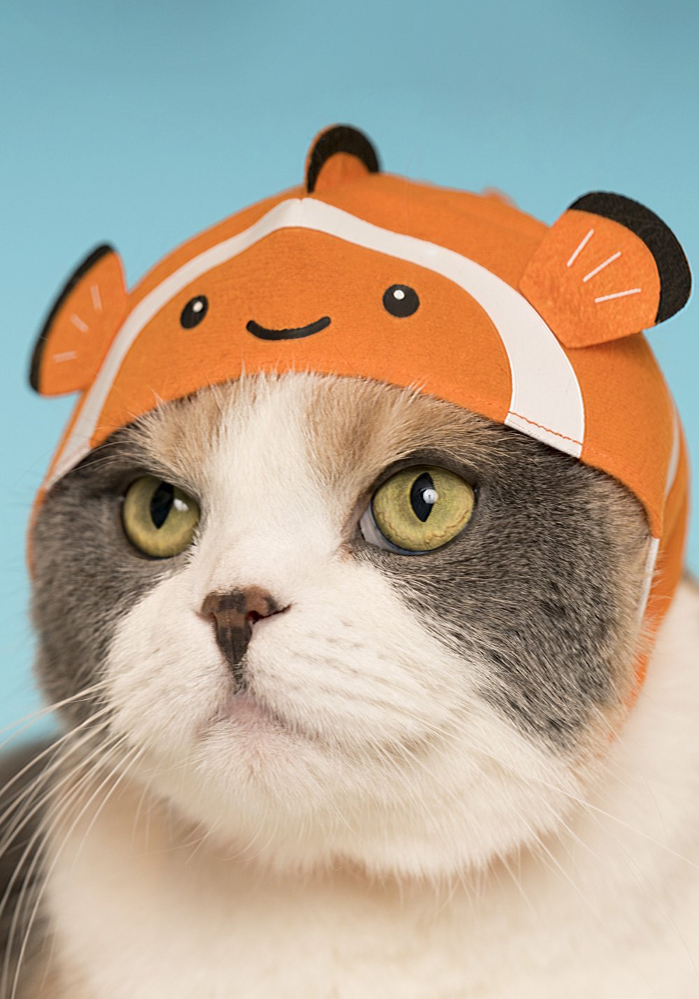 Cat Cap Aquarium Blind Box - Kutame