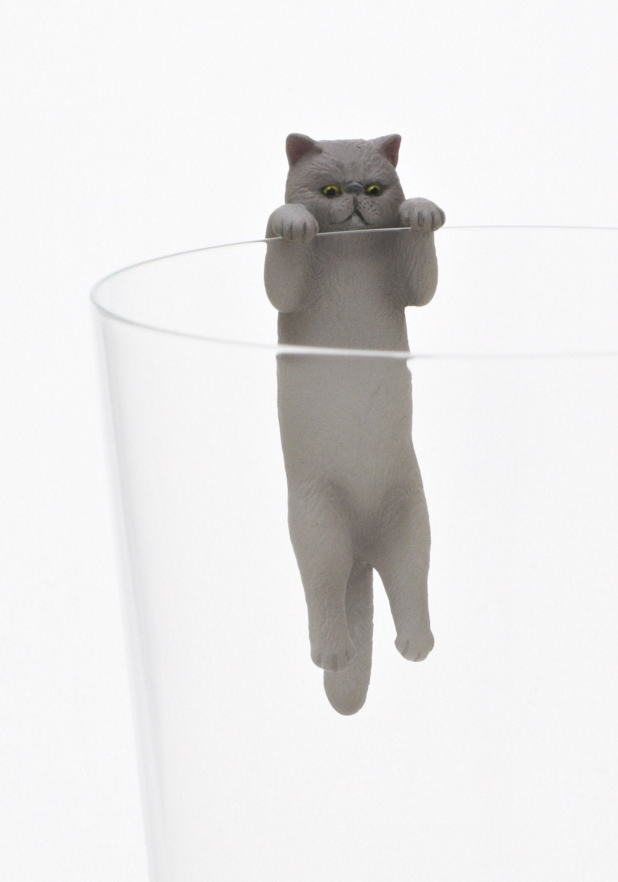 Exotic Shorthair Blind Box - Kutame