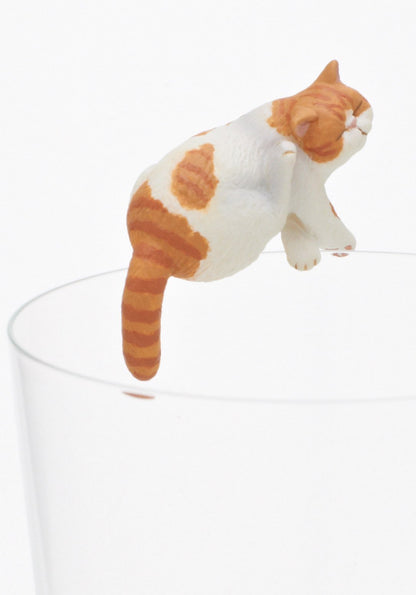 Exotic Shorthair Blind Box - Kutame