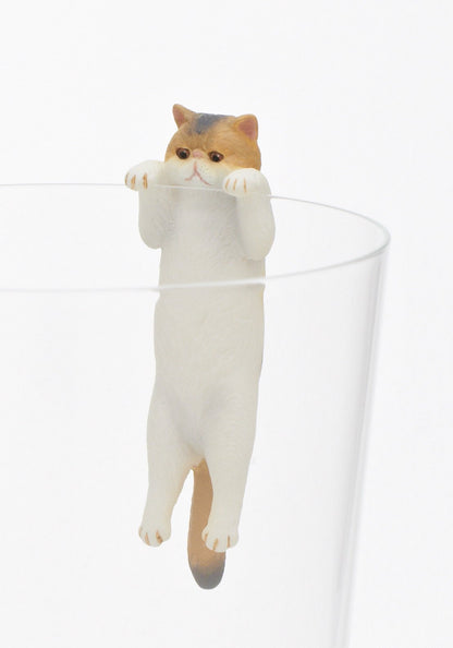 Exotic Shorthair Blind Box - Kutame