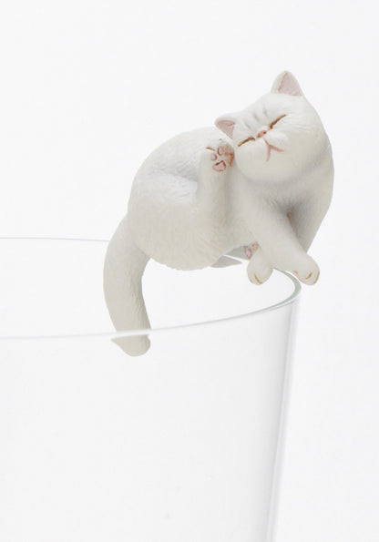 Exotic Shorthair Blind Box - Kutame