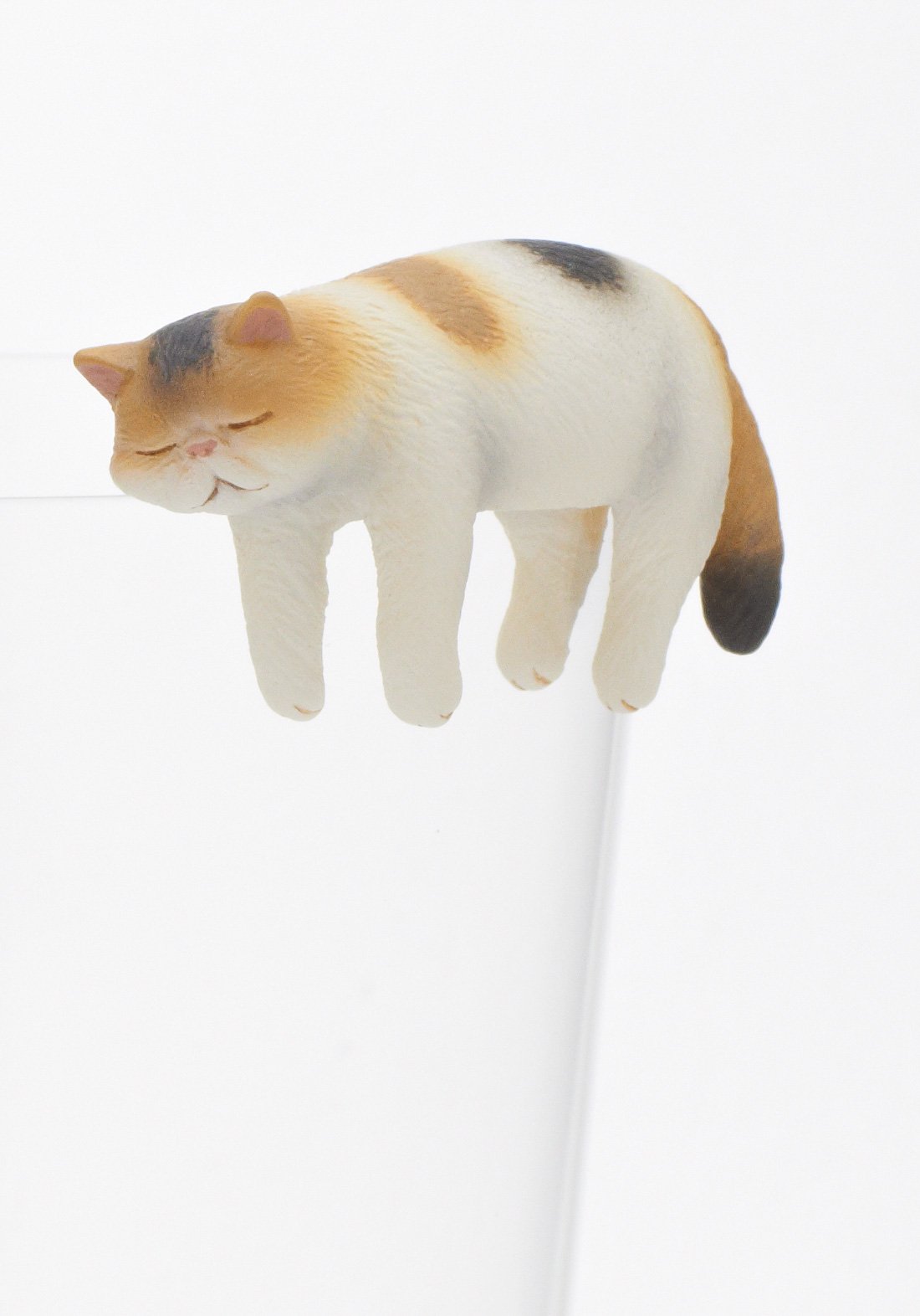 Exotic Shorthair Blind Box - Kutame