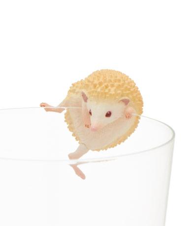 Hedgehog Blind Box - Kutame